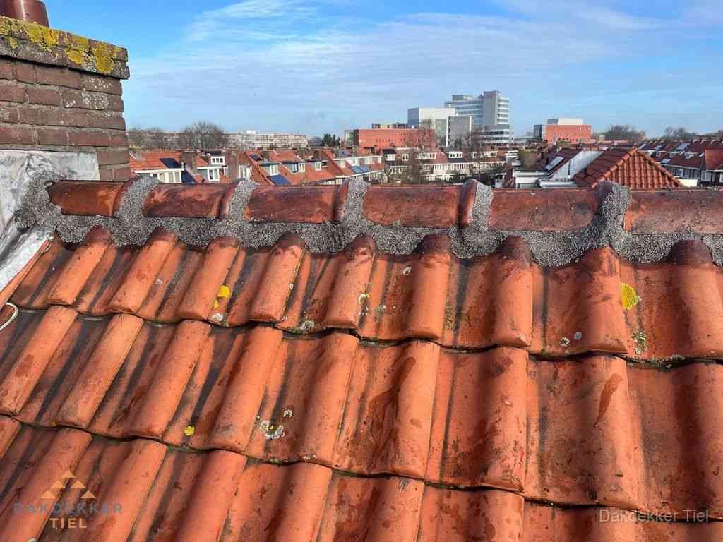 Tiel Daken Renoveren Tiel Daken Renoveren